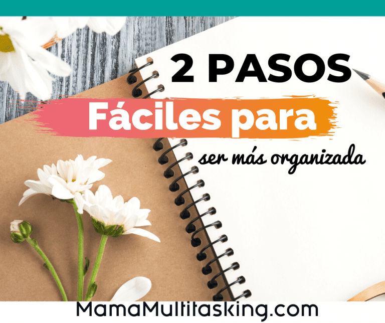 pin más organizada