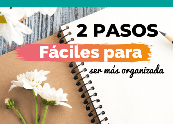 pin más organizada